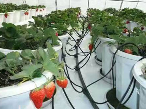 滴灌設(shè)備使用注意事項